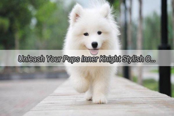 Unleash Your Pups Inner Knight Stylish Outfit Ideas for Doggie Armor